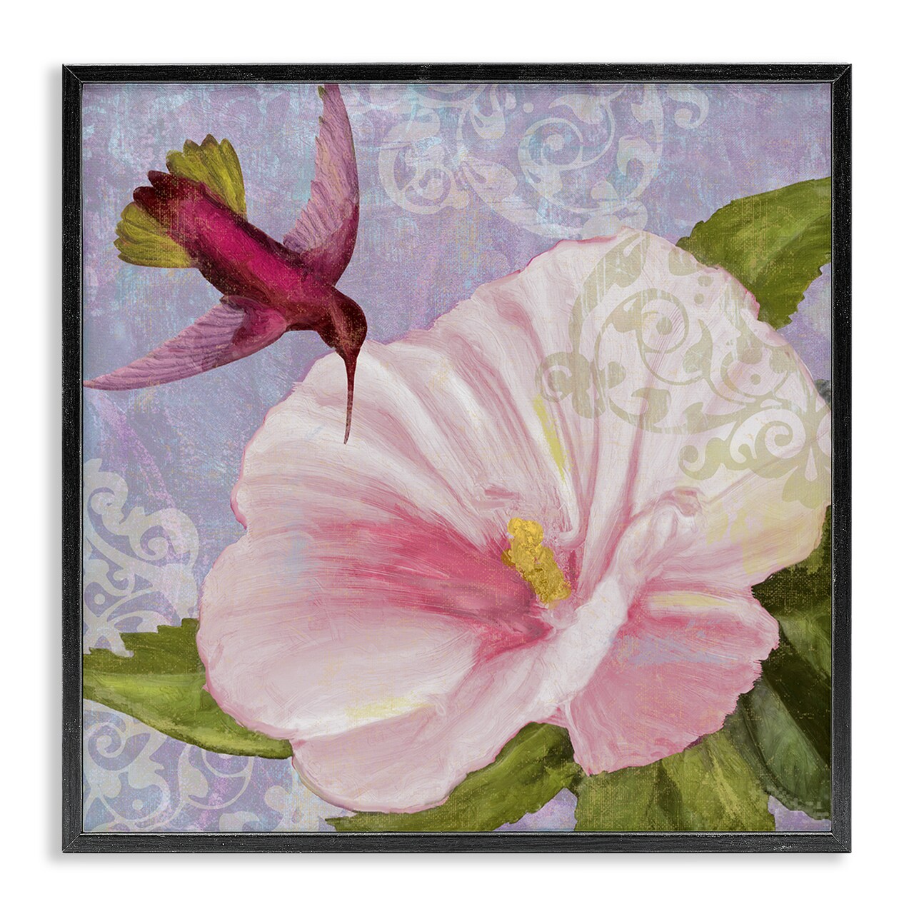 Stupell Industries Hummingbird with White Flower Framed Giclee Design by Sasha